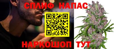 дмт Дубна
