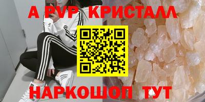 кокс Донской