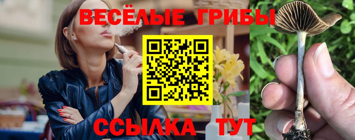 Псилоцибиновые грибы прущие грибы Кстово